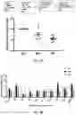 Fig. 11 - ANTI BDCA-2 ANTIBODIES