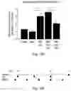 Fig. 14 - ANTI BDCA-2 ANTIBODIES