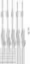 Fig. 16 - ANTI BDCA-2 ANTIBODIES
