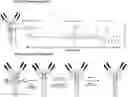 Fig. 01 - Anti-FGFR2 antibodies and methods of use thereof
