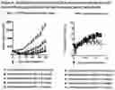 Fig. 06 - Anti-FGFR2 antibodies and methods of use thereof