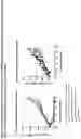 Fig. 13 - Anti-FGFR2 antibodies and methods of use thereof