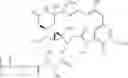 Fig. 167 - Anti-FGFR2 antibodies and methods of use thereof