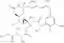 Fig. 17 - Anti-FGFR2 antibodies and methods of use thereof