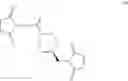 Fig. 202 - Anti-FGFR2 antibodies and methods of use thereof