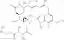 Fig. 211 - Anti-FGFR2 antibodies and methods of use thereof