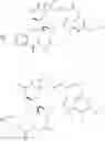 Fig. 28 - Anti-FGFR2 antibodies and methods of use thereof