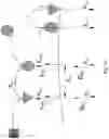 Fig. 16 - CHIMERIC ACTIVATORS: QUANTITATIVELY DESIGNED PROTEIN THERAPEUTICS AND USES THEREOF