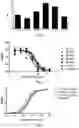 Fig. 02 - INTERLEUKIN-4 RECEPTOR ANTIBODY AND APPLICATION THEREOF