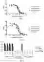Fig. 03 - INTERLEUKIN-4 RECEPTOR ANTIBODY AND APPLICATION THEREOF