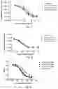 Fig. 04 - INTERLEUKIN-4 RECEPTOR ANTIBODY AND APPLICATION THEREOF