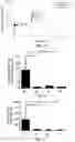 Fig. 05 - INTERLEUKIN-4 RECEPTOR ANTIBODY AND APPLICATION THEREOF