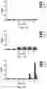 Fig. 06 - INTERLEUKIN-4 RECEPTOR ANTIBODY AND APPLICATION THEREOF