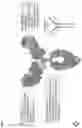 Fig. 03 - ENGINEERING OF AN ANTIBODY FOR TUMOR-SELECTIVE BINDING OF CD47
