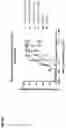 Fig. 04 - ENGINEERING OF AN ANTIBODY FOR TUMOR-SELECTIVE BINDING OF CD47