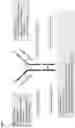 Fig. 10 - ENGINEERING OF AN ANTIBODY FOR TUMOR-SELECTIVE BINDING OF CD47