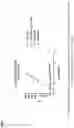 Fig. 12 - ENGINEERING OF AN ANTIBODY FOR TUMOR-SELECTIVE BINDING OF CD47
