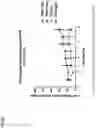 Fig. 19 - ENGINEERING OF AN ANTIBODY FOR TUMOR-SELECTIVE BINDING OF CD47