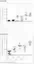 Fig. 22 - METHODS AND COMPOSITIONS FOR ANTI-CD73 ANTIBODIES AND VARIANTS