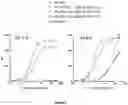 Fig. 10 - ANTIBODY VARIANTS WITH PH-DEPENDENT ANTIGEN BINDING FOR SELECTIVE TARGETING OF SOLID TUMORS