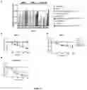 Fig. 13 - ANTIBODY VARIANTS WITH PH-DEPENDENT ANTIGEN BINDING FOR SELECTIVE TARGETING OF SOLID TUMORS