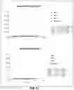 Fig. 04 - Factor XI antibodies and methods of use