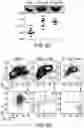 Fig. 15 - Compositions and methods for immunotherapy