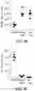 Fig. 16 - Compositions and methods for immunotherapy