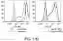 Fig. 24 - Compositions and methods for immunotherapy