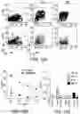 Fig. 25 - Compositions and methods for immunotherapy