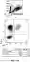 Fig. 30 - Compositions and methods for immunotherapy