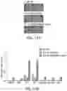 Fig. 37 - Compositions and methods for immunotherapy