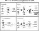 Fig. 01 - METHODS OF USING MONOCLONAL ANTIBODIES TARGETING EPITOPES OF ASPH
