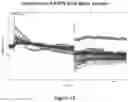 Fig. 20 - METHODS OF USING MONOCLONAL ANTIBODIES TARGETING EPITOPES OF ASPH