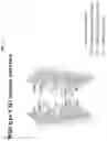Fig. 03 - CH3 DOMAIN VARIANT PAIR INDUCING FORMATION OF HETERODIMER OF HEAVY CHAIN CONSTANT REGION OF ANTIBODY AT HIGH EFFICIENCY, METHOD FOR PREPARING SAME, AND USE THEREOF