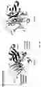 Fig. 05 - CH3 DOMAIN VARIANT PAIR INDUCING FORMATION OF HETERODIMER OF HEAVY CHAIN CONSTANT REGION OF ANTIBODY AT HIGH EFFICIENCY, METHOD FOR PREPARING SAME, AND USE THEREOF