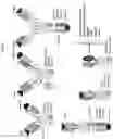 Fig. 11 - CH3 DOMAIN VARIANT PAIR INDUCING FORMATION OF HETERODIMER OF HEAVY CHAIN CONSTANT REGION OF ANTIBODY AT HIGH EFFICIENCY, METHOD FOR PREPARING SAME, AND USE THEREOF