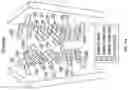 Fig. 14 - CH3 DOMAIN VARIANT PAIR INDUCING FORMATION OF HETERODIMER OF HEAVY CHAIN CONSTANT REGION OF ANTIBODY AT HIGH EFFICIENCY, METHOD FOR PREPARING SAME, AND USE THEREOF