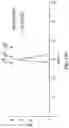 Fig. 31 - CH3 DOMAIN VARIANT PAIR INDUCING FORMATION OF HETERODIMER OF HEAVY CHAIN CONSTANT REGION OF ANTIBODY AT HIGH EFFICIENCY, METHOD FOR PREPARING SAME, AND USE THEREOF