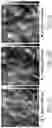Fig. 07 - Crosslinked colloidal cellulose nanocrystals and methods of preparation and use thereof