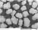 Fig. 01 - Activated catalyst components for olefin polymerization