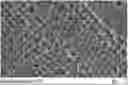 Fig. 01 - High viscosity latexes