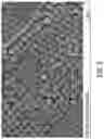 Fig. 03 - High viscosity latexes