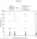 Fig. 09 - PRODUCTION OF NANOPARTICLES AND MICROPARTICLES