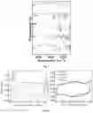 Fig. 03 - Two-dimensional organic polymer and derivatives thereof for supercapacitor applications