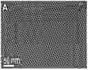 Fig. 01 - Nanoparticle catalyst for synthesizing polybenzoxazole with controlled polymerization