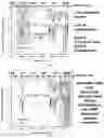Fig. 02 - CHALCOGENIDE HYBRID ORGANIC/INORGANIC POLYMERS AND METHODS FOR PRODUCING AND USING THE SAME