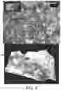 Fig. 05 - High Impact Strength Bismaleimide Plastics