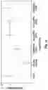 Fig. 15 - AQUEOUS BINDER COMPOSITIONS