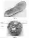 Fig. 13 - Methods of manufacturing articles utilizing foam particles